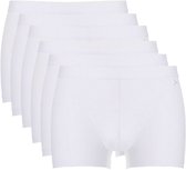 6-pack Ten Cate shorty wit