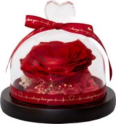 Cupido’s Choice ® Roos in Stolp | Inclusief Gift Box  | Roos in Stolp | Roos in Glas | Rood