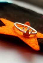 Kroon ster Kroonring | Sterring | Verstelbaar ring | Unisex ring | Valentijn cadeautje voor haar | Valentijn cadeautje voor hem | Ring | Valentijn cadeau | Verjaardag ring | Cadeau