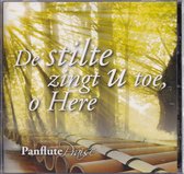 De stilte zingt U toe o Here - Panflute Praise