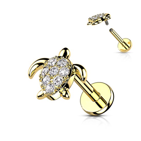 piercing tortue couleur or