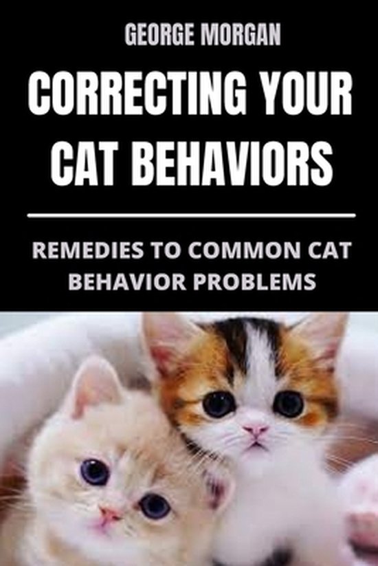Correcting Your Cat Behaviors Remedies to Common Cat Behavior Problems
