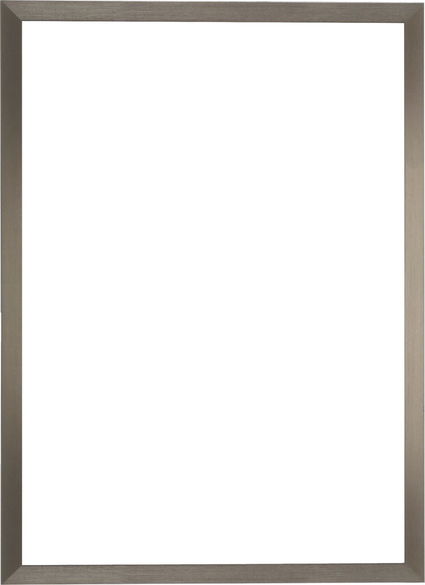 Deknudt Frames fotolijst voor canvas S46VD1 - zilverkleur - foto 20x30