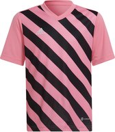 adidas - Entrada 22 GFX Jersey Youth - Roze Voetbalshirt-152