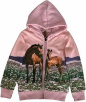 S&c Vest met paarden print Roze mt 98/104