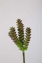 Kunstplant Echeveria - topkwaliteit decoratie - Groen - zijden tak - 25 cm hoog