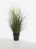Kunstplant Grassen - topkwaliteit decoratie - Groen - zijden plant - 53 cm hoog