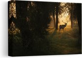 Artaza Canvas Schilderij Hert in het Donkere Groene Bos - 30x20 - Klein - Foto Op Canvas - Canvas Print