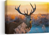 Artaza Peinture sur Toile Cerf au Coucher du Soleil - 30x20 - Klein - Photo sur Toile - Impression sur Toile