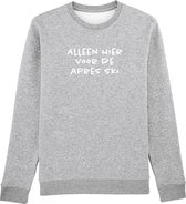 Alleen hier voor de aprés ski Rustaagh sweater maat S - grijs - bedrukt - unisex -ski