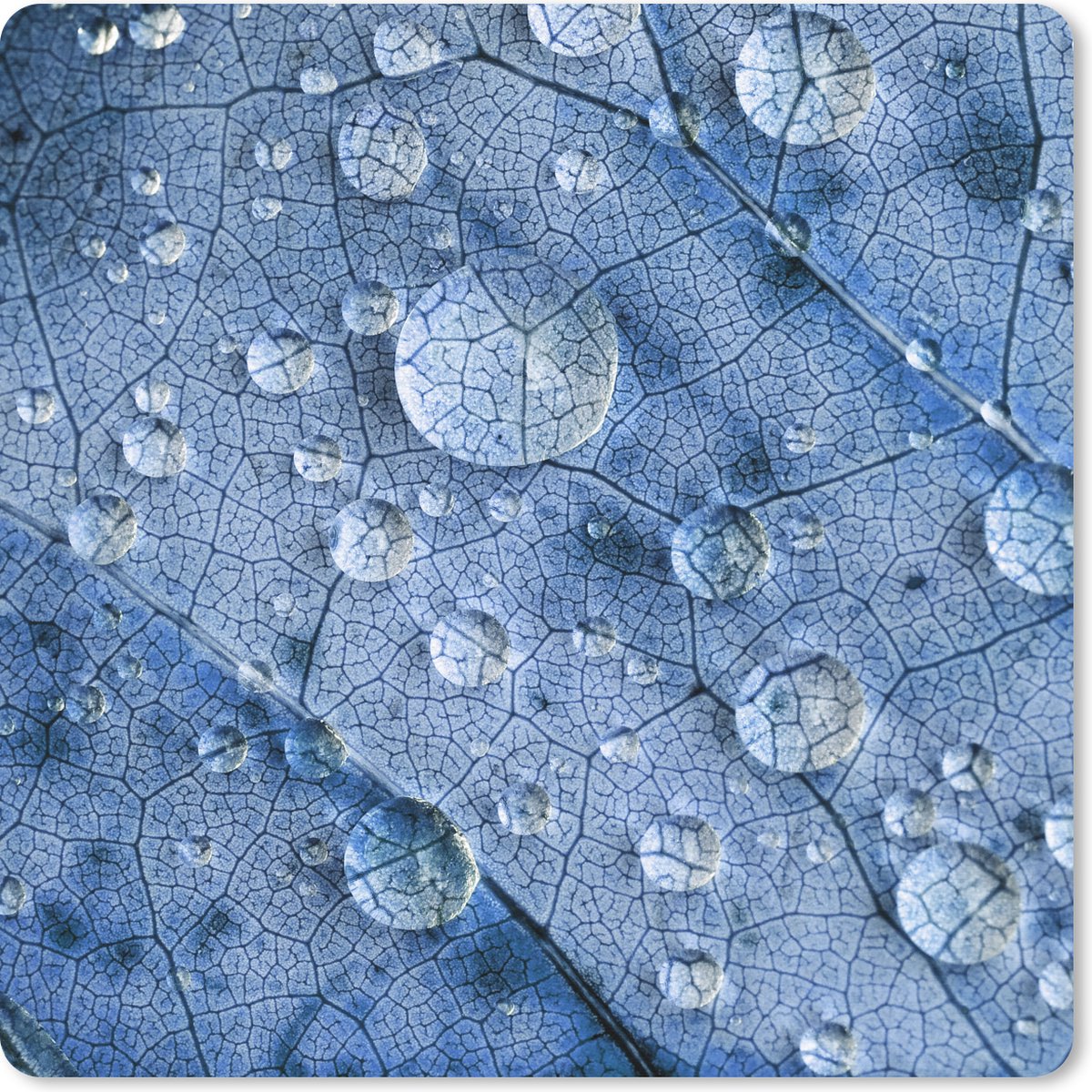 Muismat 30x30 cm - Mousepad Druppels op een blauw blad - Muismatten