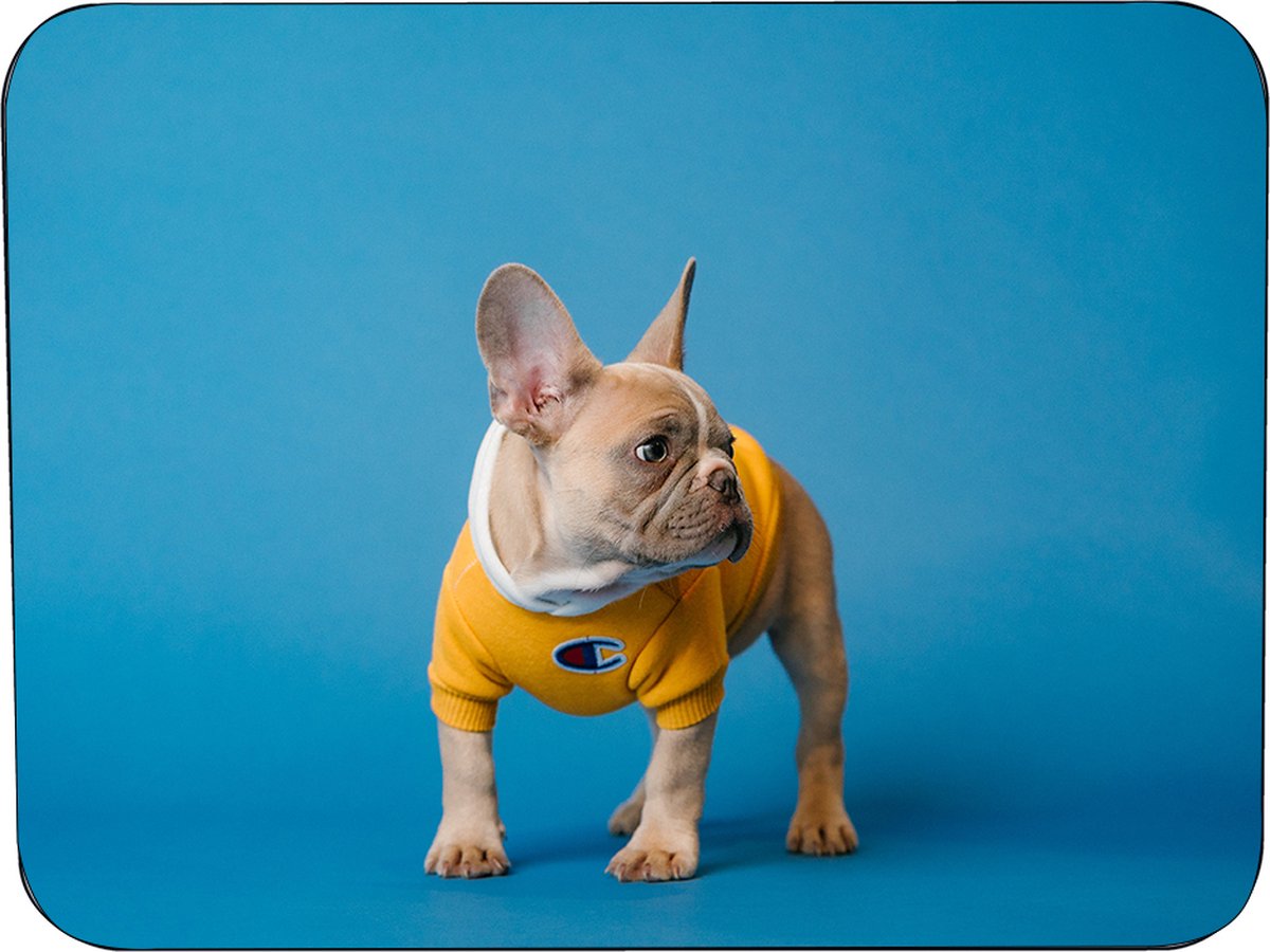 Muismat Rubber - Hoge kwaliteit foto van een Bulldog - Muismat op polyester bedrukt - 25 x 19 cm - Anti-slip muismat - 5mm dik - Muismat met foto - heerlijk voor op je bureau