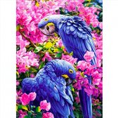 TOPMO - Blauwe Papegaai - 40X50CM- Diamond painting pakket - HQ Diamond Painting - VOLLEDIG dekkend - Diamant Schilderen - voor Volwassenen – ROND