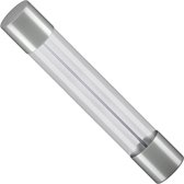 Glaszekering – 1 Ampère – Fast – 250 Volt – F1AL250V – 6x30mm – Geschikt voor o.a. elektrische apparaten.