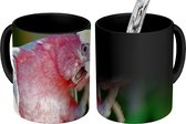 Magische Mok - Foto op Warmte Mok - Rood gekleurde kaketoe op een houten tak - 350 ML - Uitdeelcadeautjes