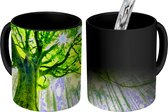 Magische Mok - Foto op Warmte Mok - Een oude beuk met groen gekleurde takken in de boom - 350 ML - Uitdeelcadeautjes