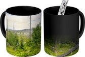 Magische Mok - Foto op Warmte Mok - Omgevallen bomen in het Nationaal Park Bayerischer Wald - 350 ML - Uitdeelcadeautjes