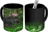 Magische Mok - Foto op Warmte Mok - App tussen groene planten in de jungle - 350 ML - Uitdeelcadeautjes