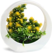 Kamerplant-28cm-Plant-Kunstplant voor binnen en buiten-Kunst plant-Kunstplanten voor binnen met pot-Kunstbloemen-Nepbloemen-Kamer decoratie