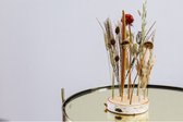 Droogbloemen schijf Kopenhagen