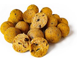 Ultimate Scopex Boilies 2,5KG | Karper Boilies | Karpervissen | Boilies | Karper Aas | Karper Vissen | Karper Voer | Karper