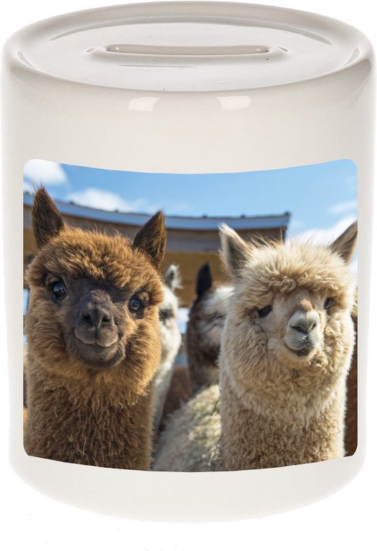 Tirelire photo Animaux alpaga 9 cm garçons et filles - Tirelires cadeau passionné d'alpagas
