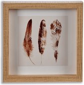 fotolijst vogelveer 22 x 22 x 2,5 cm hout naturel