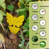 Professor Q - Rouwvliegjes Bestrijden - Fruitvliegjes Vanger - Fruitvlieg - Vliegenvanger - Insectenvanger Tegen Rouwvliegen - Vangplaten - 12 stuks Professor Q - Rouwvliegjes Bestrijden - Fruitvliegjes Vanger - Fruitvlieg - Vliegenvanger - Insectenvanger Tegen Rouwvliegen - Vangplaten - 12 stuks