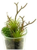 kunstplant Cardex 13 cm zijde groen 2-delig
