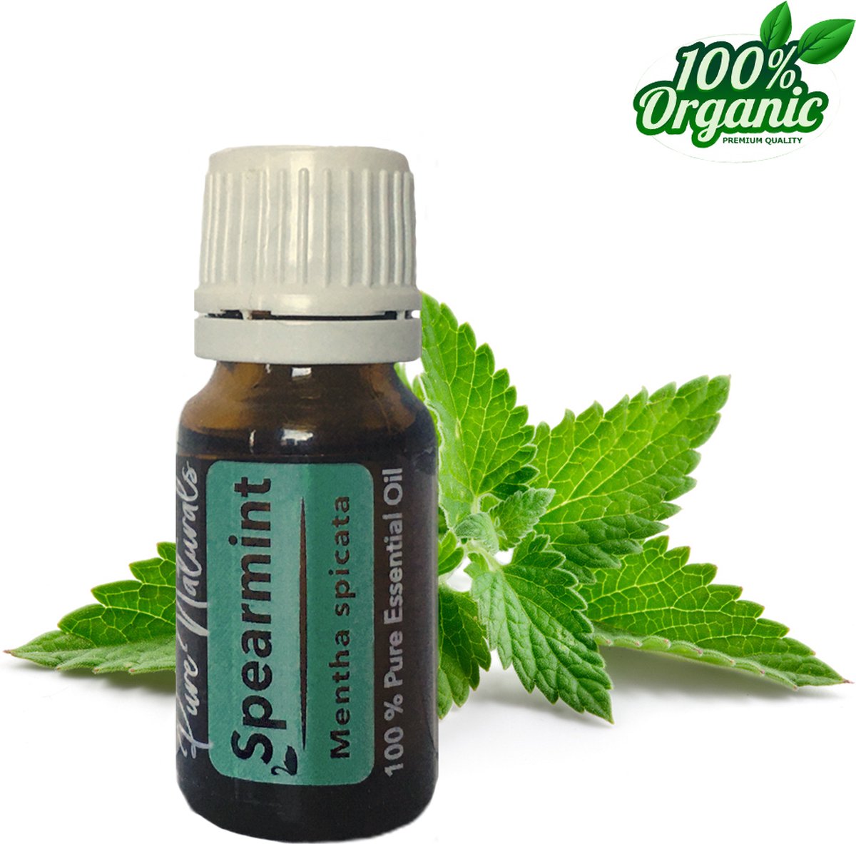 Goedkoopste Kruizemunt etherische Olie 10 ml | Spearmint Oil | 100 PUUR | Bio | Essentiële olie Aromatherapie | Olie diffuser | Geschikt voor inname | Pure Naturals