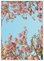 Poster Met Witte Lijst - Tabebuia Bloem Poster