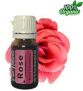 Roos etherische Olie 10 ml | Rose Oil | 100% PUUR | Bio | Essentiële olie Aromatherapie | Olie diffuser | Geschikt voor inname | Pure Naturals