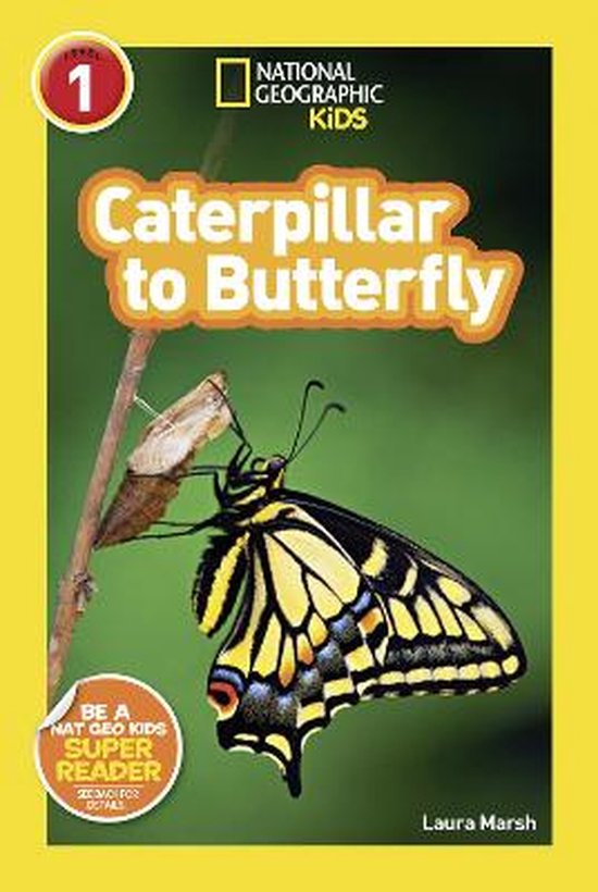 NGR Caterpillar To Butterfly