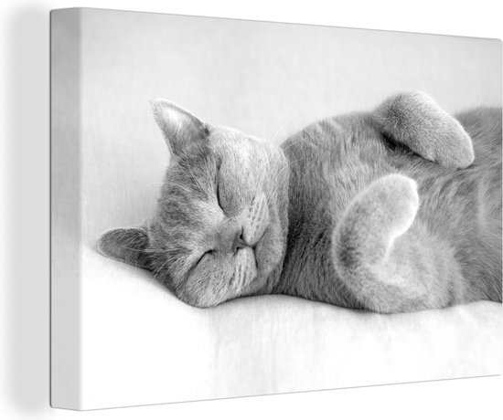 Canvas Schilderij Grijze kat slaapt op een kleed - zwart wit - Wanddecoratie