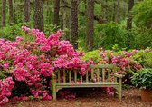 Diamond painting 30x40 cm - Tuinbank in bossen met roze bloesem