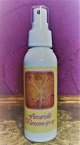 Florarielle Blossom Spray - Magical Aura Chakra Spray - In the Light of the Goddess - 100 ml