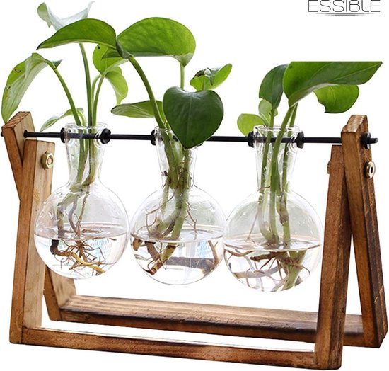 Donkersstuff - Vases - Plantes - Verres - Décoration - Glas transparent et  bois -... | bol.com
