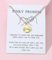 Ketting met hanger Pinky Promise