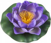 waterlelie Lotus 10 cm foam paars/groen