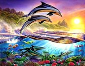 TOPMO - Dolfijnen sprong bij zonsondergang - Diamond painting pakket - HQ Diamond Painting - volledig dekkend - Diamant Schilderen – voor Volwassenen – ROND - 40 x 50 CM