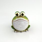Deze ronde poly kikker vraagt om een plekje in uw huis, serre / tuinkamer. Deze kikker in groen en wit is gemakkelijk neer te zetten. Ook erg leuk om op je bureau te plaatsen. Voor