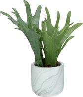 Hertshoorn - Pomax - hertshoornvaren - kunstplant - kunststof / cement - ø 8 x 22 cm hoog - groen
