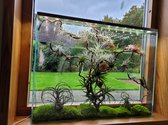 Compact mini ecosysteem planten terrariums- "Live Picture" als raam- en glazen wanddecoratie - Incl. kweeklamp en ophangsysteem.