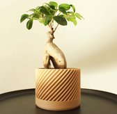 QOME Akira - bloempot - plantenpot - designer - eikenhout - 9cm