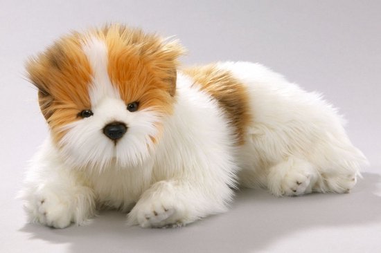 Steiff - Pluche animal cane Collie - 1960-1969 - Germany - Catawiki