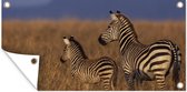 Tuinposter Moeder en baby zebra - 60x30 cm - Tuindoek - Buitenposter