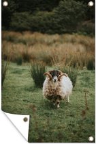 Tuinposter - Tuindoek - Tuinposters buiten - Schaap - Hoorn - Vacht - 80x120 cm - Tuin