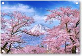 Fuji-berg en kersenbloesems in de lente, Japan - Tuinposter 120x80 - Wanddecoratie - Besteposter - Landschap