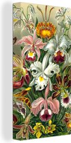Canvas Schilderij Design - Bloemen - Planten - Ernst Haeckel - 20x40 cm - Wanddecoratie