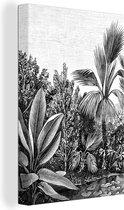 Canvas Schilderij Planten - Natuur - Design - Illustratie - Ernst Haeckel - 60x90 cm - Wanddecoratie